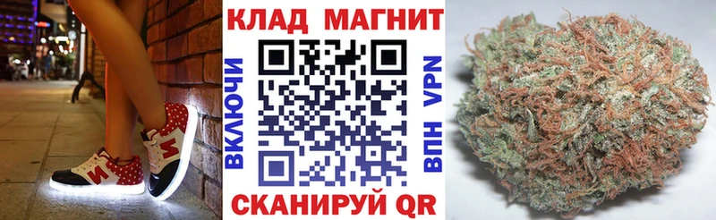 Где купить наркотики Кохма Гашиш  A PVP  Cocaine  Меф  ТГК  Канабис  АМФ 