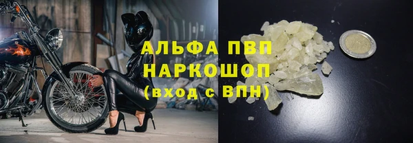 шишки Карпинск