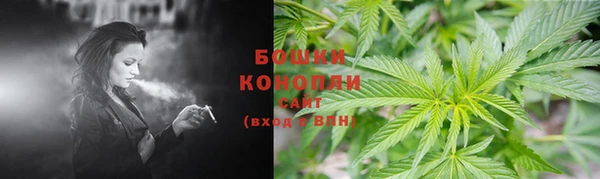 кокс Инсар