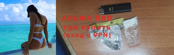 шишки Карпинск