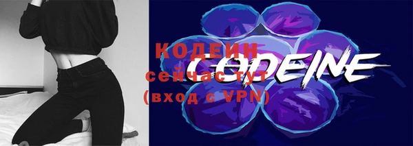 шишки Карпинск