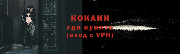 шишки Карпинск