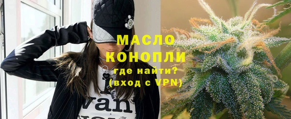 индика Инта