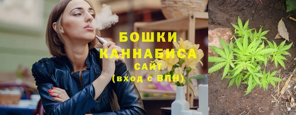 шишки Карпинск