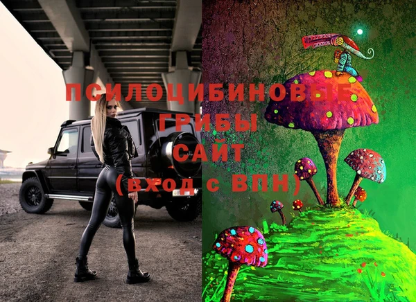 шишки Карпинск