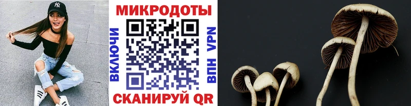 Псилоцибиновые грибы GOLDEN TEACHER  магазин    MEGA сайт  Кохма 
