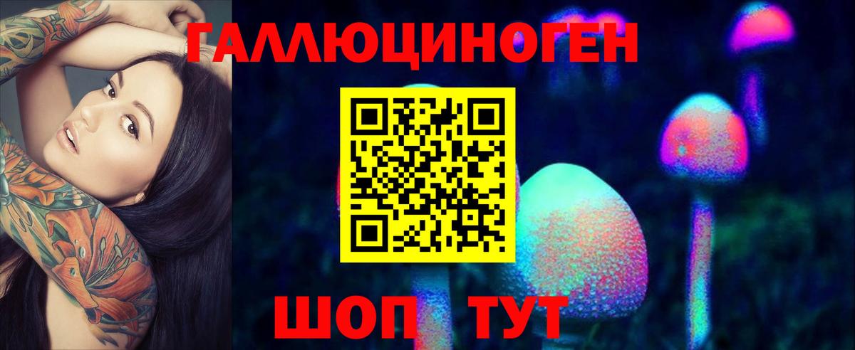 Галлюциногенные грибы Psilocybe  Вход с VPN  Кохма 